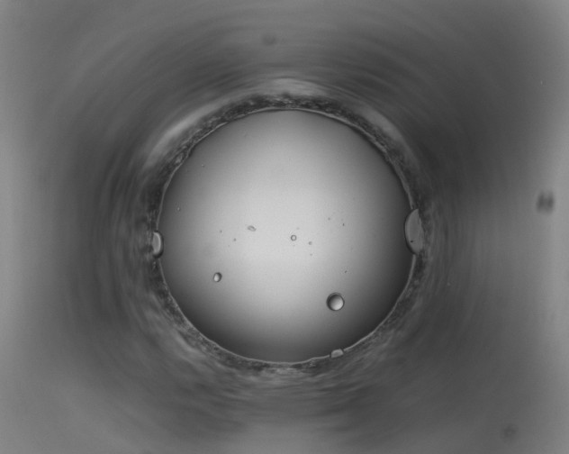 X0000114141112200910151602