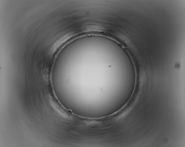 X0000114141113200910151602