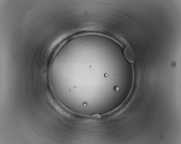 X0000114141114200910151602