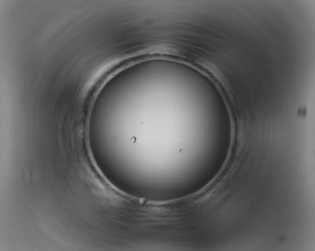 X0000114141115200910151602