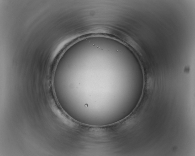 X0000114141116200910151602