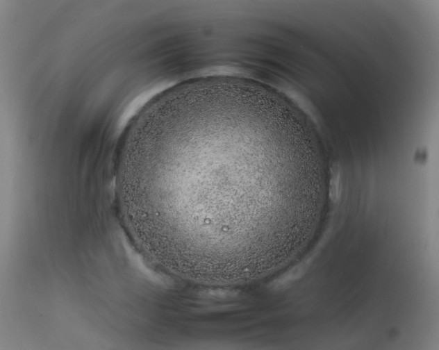 X0000114141117200910151602