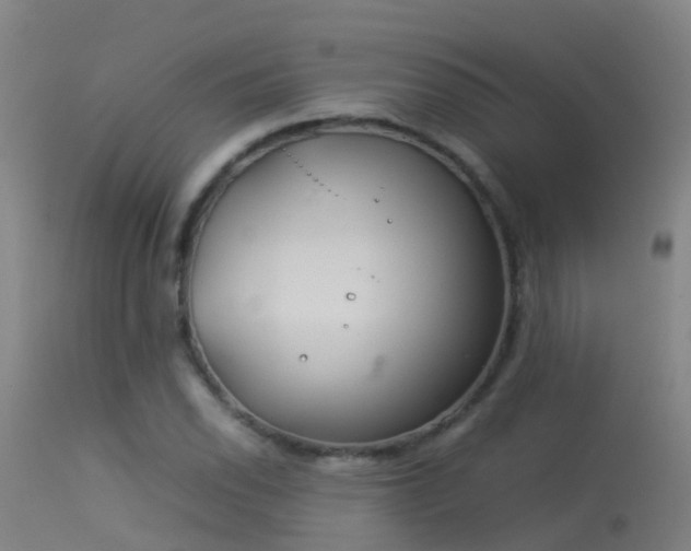 X0000114141118200910151602