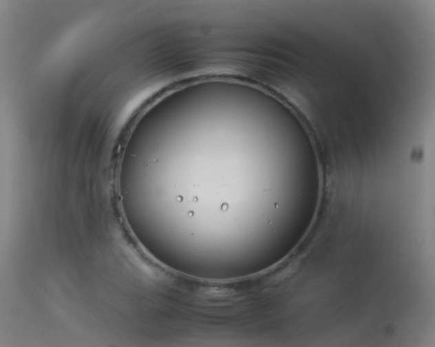 X0000114141119200910151602