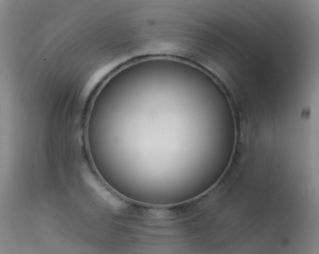 X0000114141120200910151603