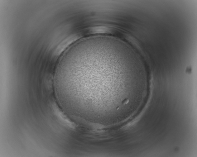 X0000114141121200910151603