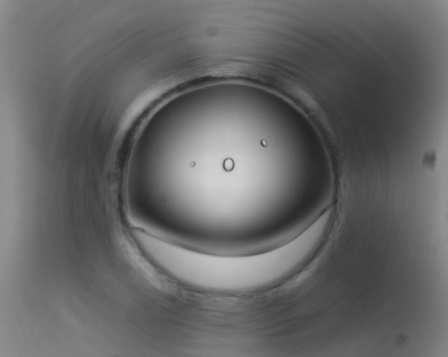 X0000114141122200910151603