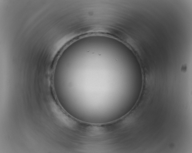 X0000114141124200910151603