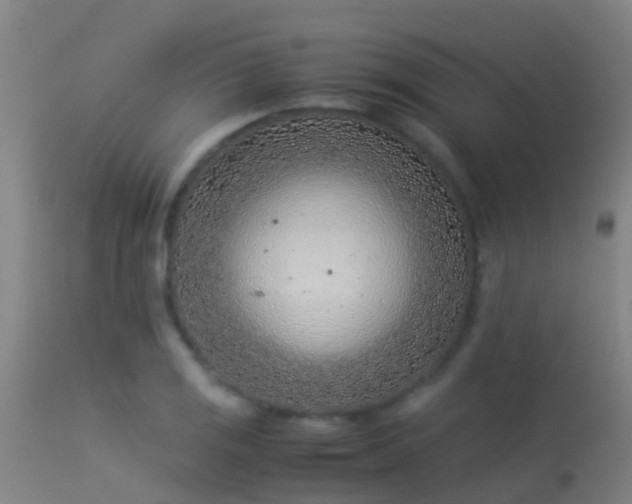 X0000114141125200910151603