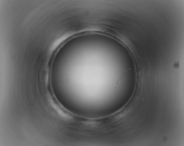 X0000114141127200910151603