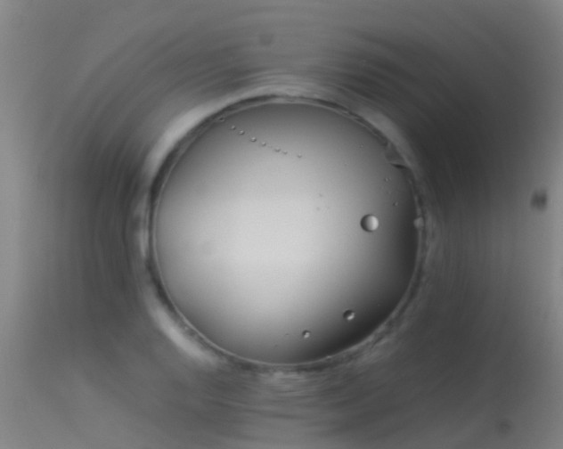 X0000114141128200910151603