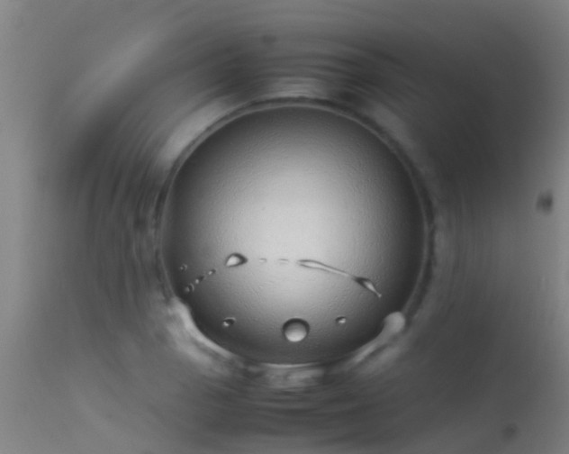 X0000114141129200910151603