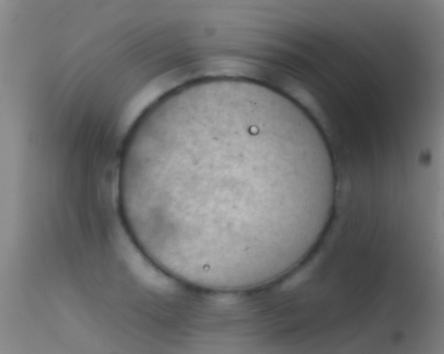 X0000114141130200910151603