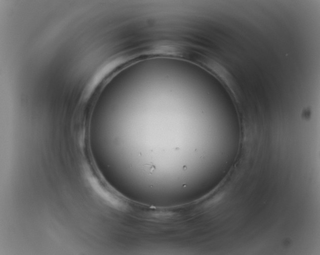 X0000114141131200910151603