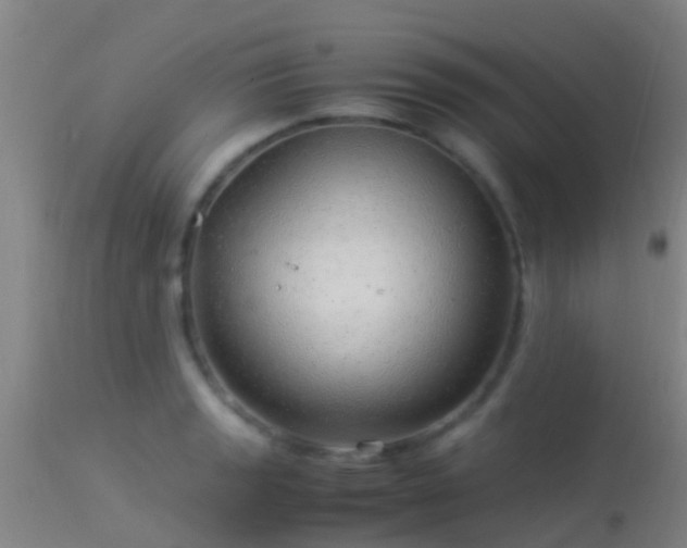 X0000114141133200910151603