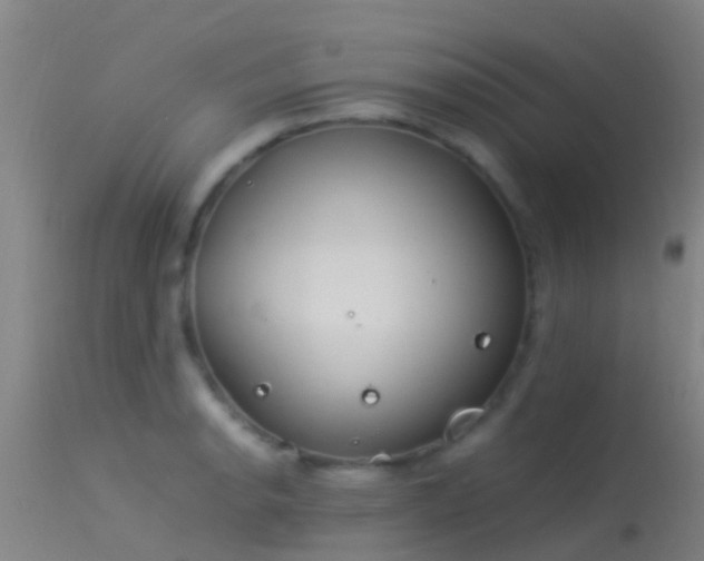 X0000114141134200910151603