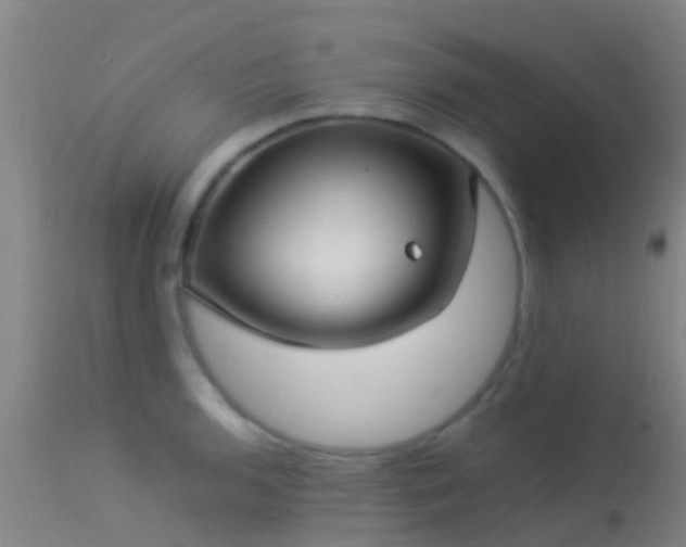 X0000114141136200910151603