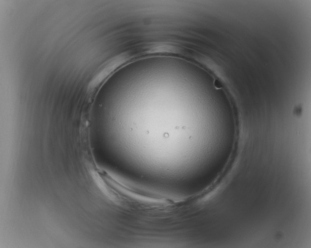 X0000114141137200910151603