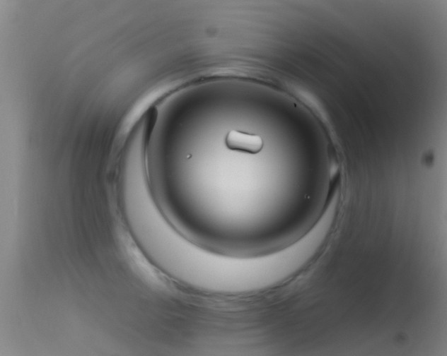 X0000114141138200910151603