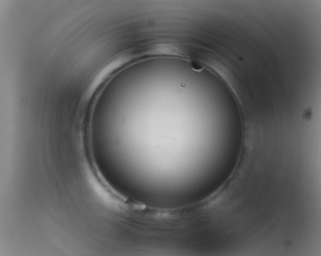 X0000114141139200910151603