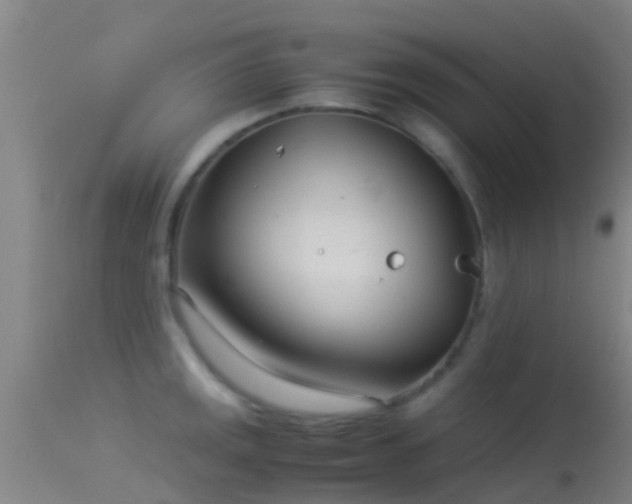 X0000114141141200910151603