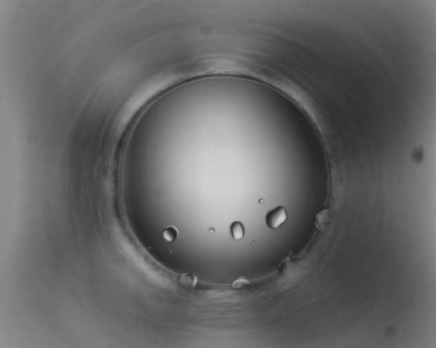 X0000114141142200910151603