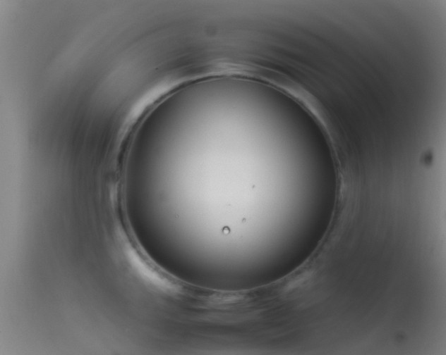 X0000114141143200910151603