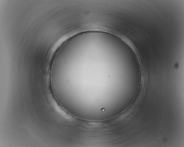 X0000114141144200910151603