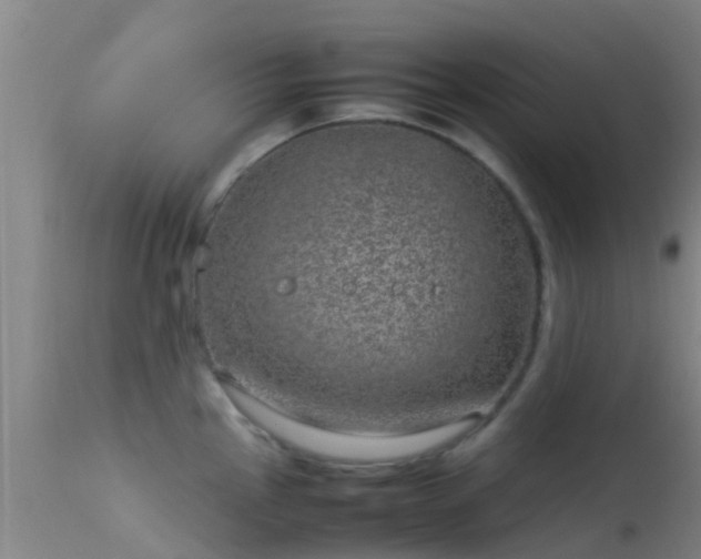 X0000114141145200910151603