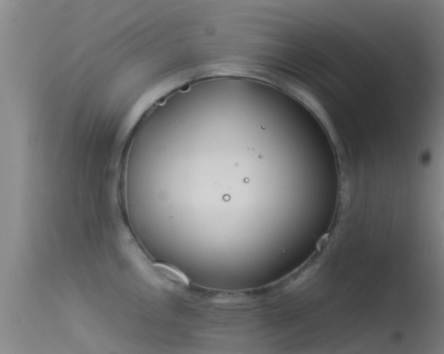 X0000114141146200910151603