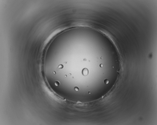 X0000114141147200910151603