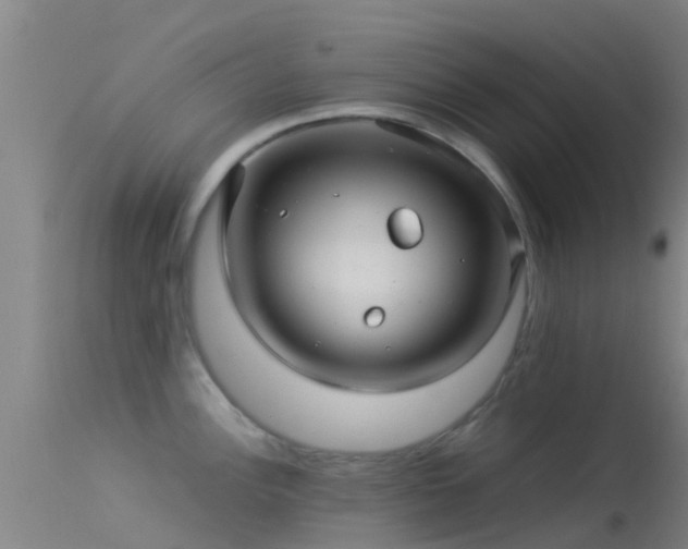 X0000114141148200910151603