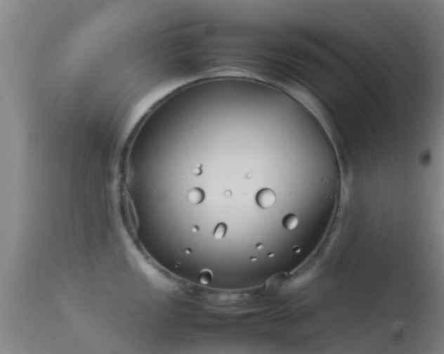 X0000114141149200910151603