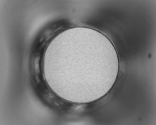 X0000114141150200910151603