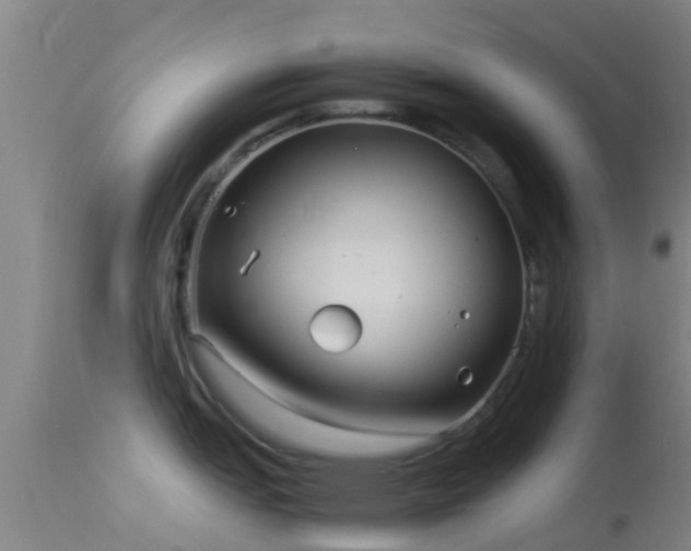 X0000114141151200910151603