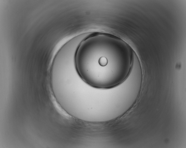 X0000114141152200910151603