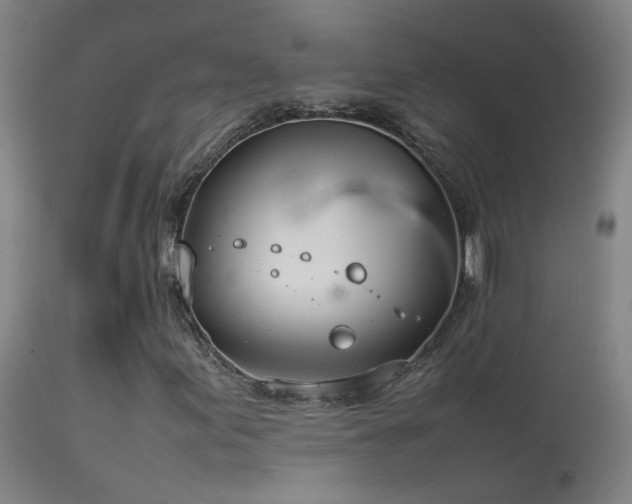 X0000114141155200910151602