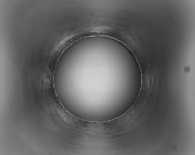 X0000114141158200910151602