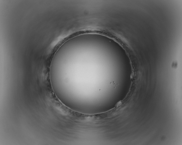 X0000114141160200910151602