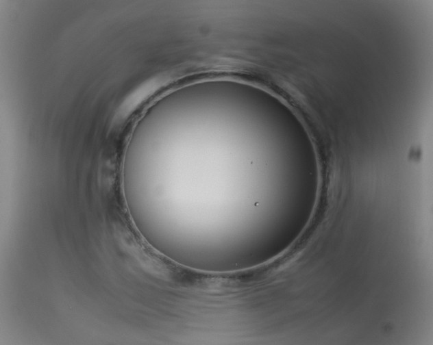 X0000114141163200910151602