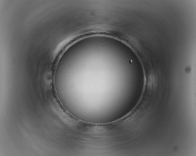 X0000114141164200910151602