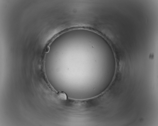 X0000114141165200910151602