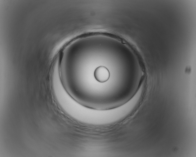 X0000114141167200910151602