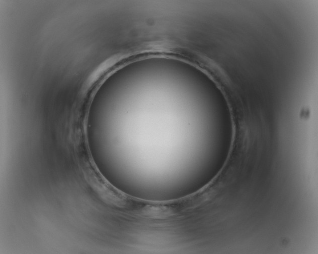 X0000114141168200910151602