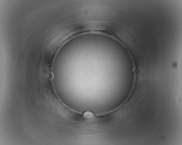 X0000114141169200910151602