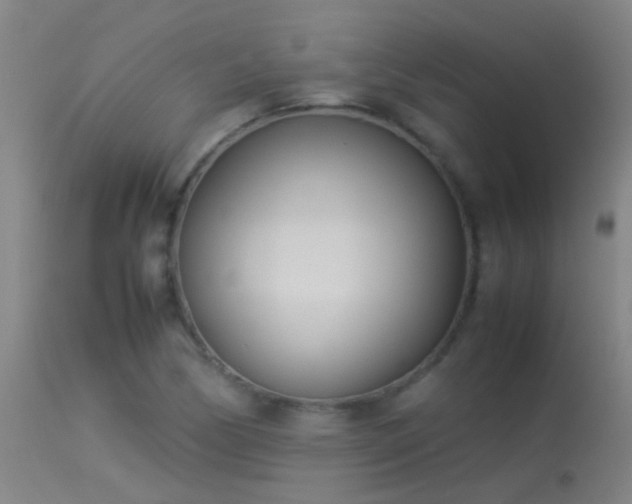 X0000114141170200910151602