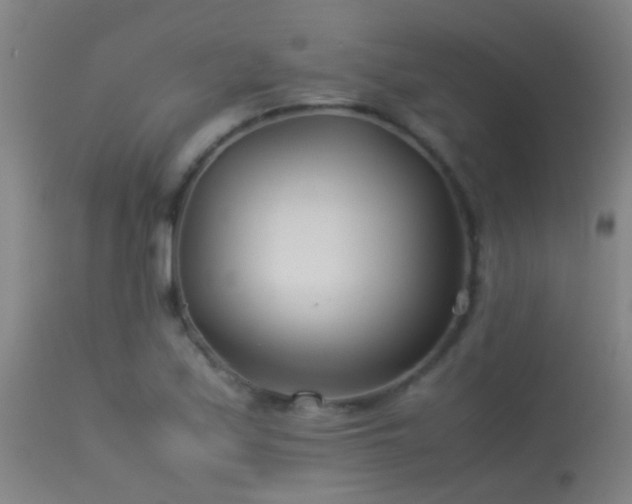 X0000114141171200910151602