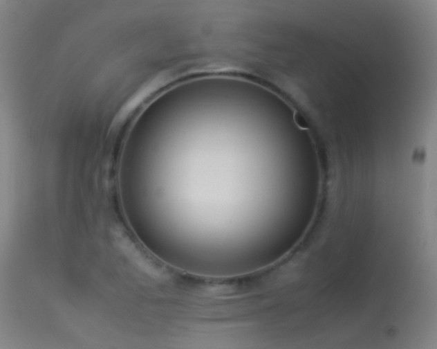 X0000114141173200910151602