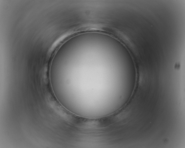 X0000114141174200910151602