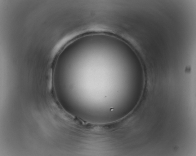 X0000114141175200910151602